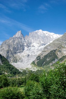 Yüksek dağlık arazi, buzul dilinin yemyeşil çayırlara doğru indiğini gösteriyor.