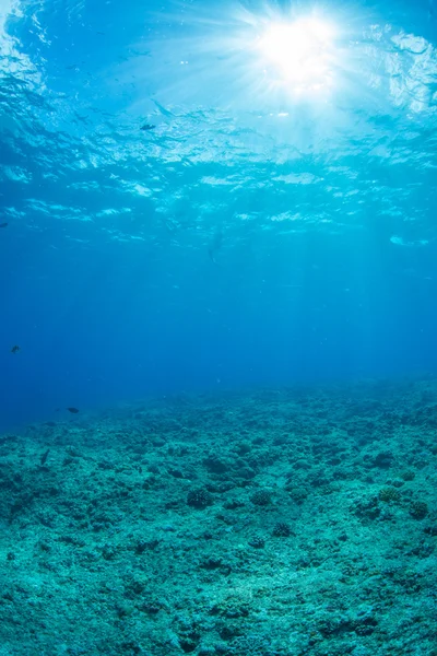 La lumière du soleil atteint dans l'eau — Photo