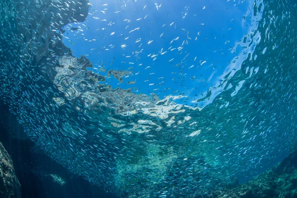 Blauwe Water en zonlicht — Stockfoto