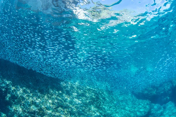 Agua azul y luz solar —  Fotos de Stock