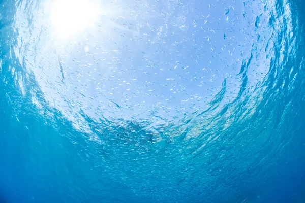Голубая вода и солнечный свет — стоковое фото