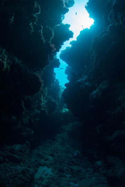 Underwater channel diving — Stock Photo, Image