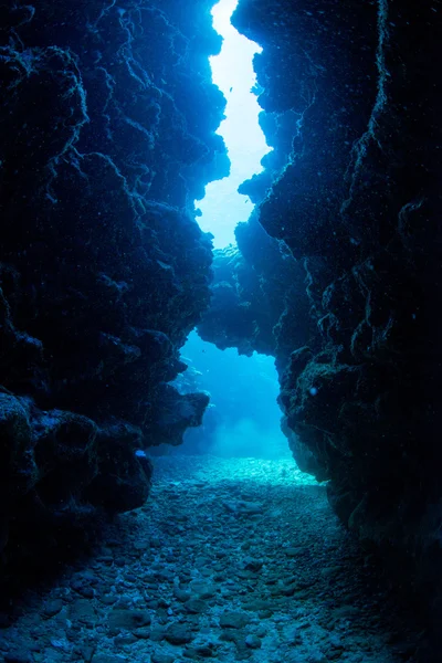 Immersioni subacquee — Foto Stock