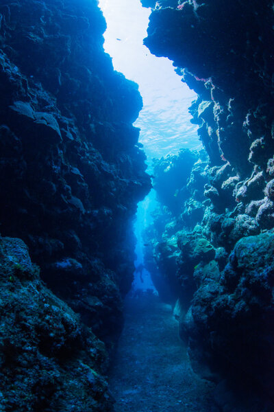 Underwater channel diving in Miyakojima island