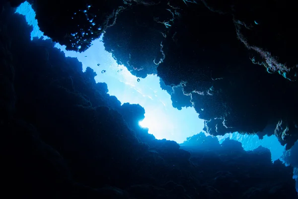 Подводный дайвинг — стоковое фото