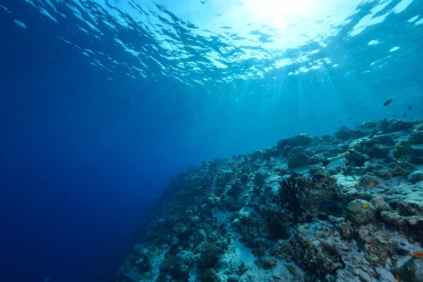 Rays of sunlight shining into sea, underwater view — Stock Photo, Image