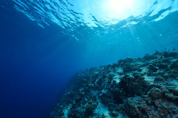 Sonnenstrahlen, die ins Meer scheinen, Unterwasserblick — Stockfoto