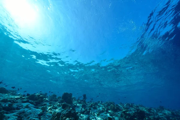 Raios de luz solar brilhando no mar, vista subaquática — Fotografia de Stock