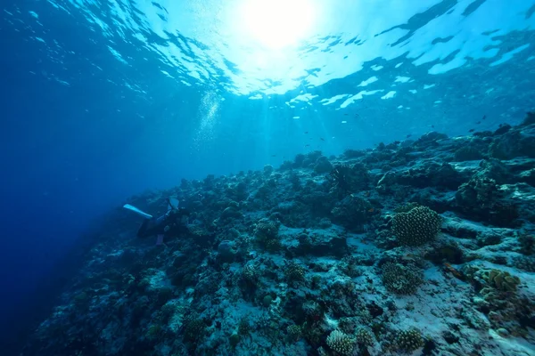 Rayons de soleil brille dans la mer, vue sous-marine — Photo