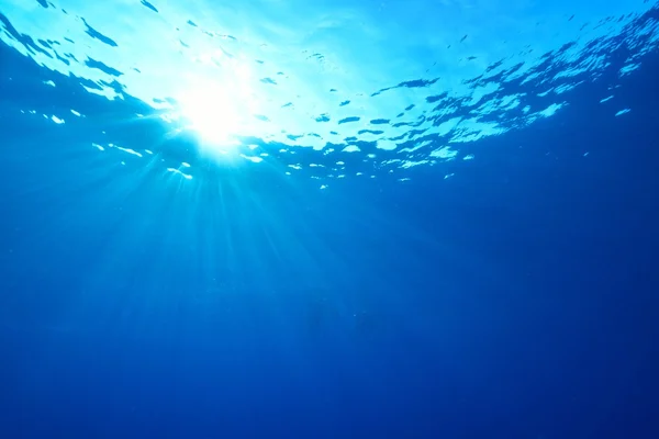 Rays of sunlight shining into sea, underwater view