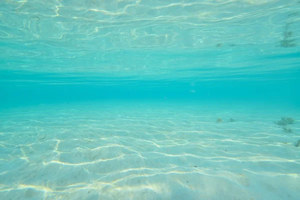 아름 다운 블루 분명 자연 물 — 스톡 사진