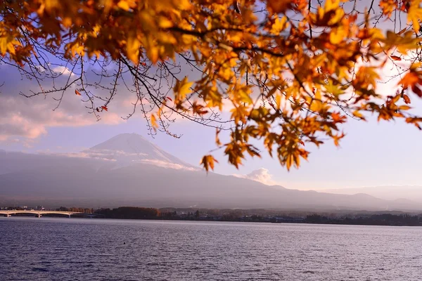 Autumn color in Japan — Stock Photo, Image