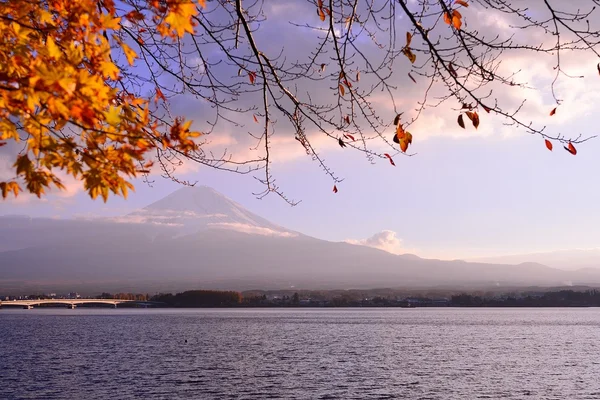 日本の秋の色 — ストック写真