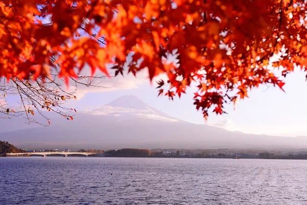 Autumn color in Japan — Stock Photo, Image