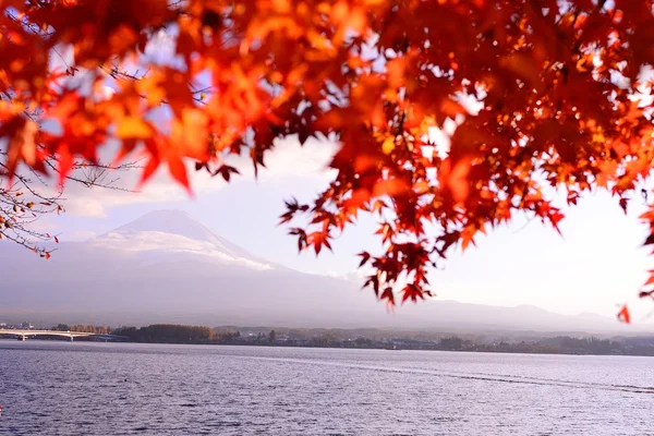 Color de otoño en Japón — Foto de Stock