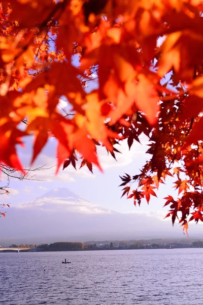 Jesienne barwy w Japonii — Zdjęcie stockowe