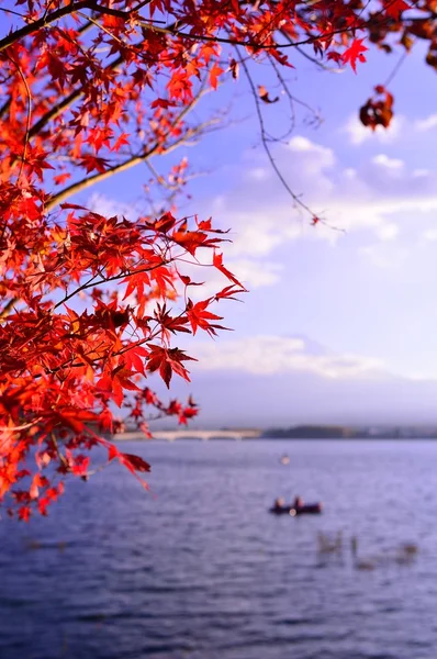 Japonya'da sonbahar renk — Stok fotoğraf