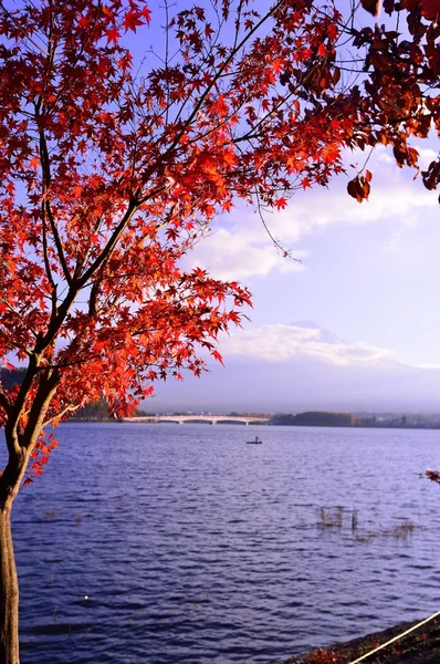 Autumn color in Japan — Stock Photo, Image