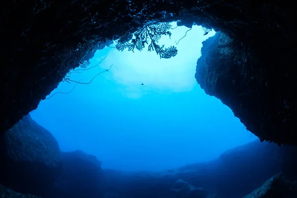 Rays Sunlight Underwater Cave — Stock Photo, Image