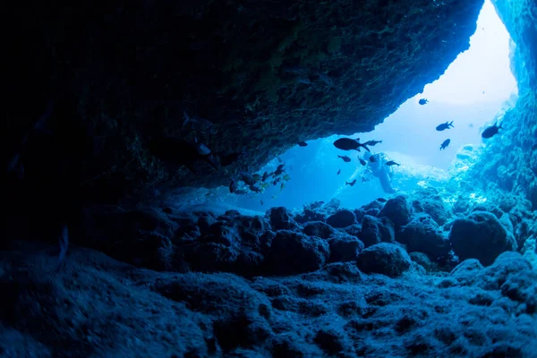 Rays Sunlight Underwater Cave — Stock Photo, Image