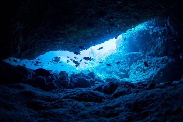 Raggi Luce Solare Nella Grotta Sottomarina — Foto Stock