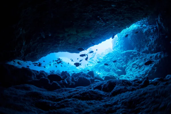 Raggi Luce Solare Nella Grotta Sottomarina — Foto Stock