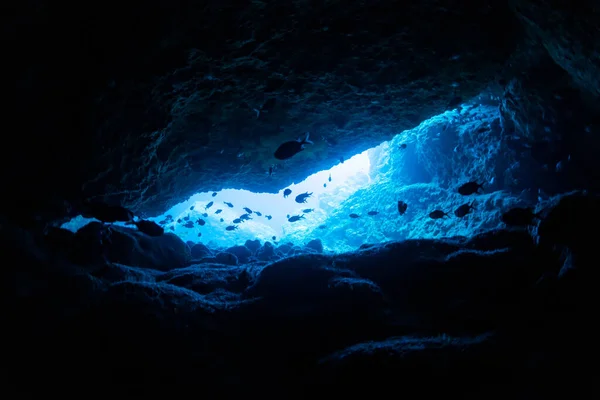 Sluneční Paprsky Podmořské Jeskyně — Stock fotografie