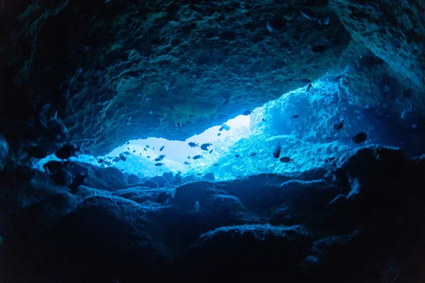 Ακτίνες Φωτός Μέσα Στην Υποθαλάσσια Σπηλιά — Φωτογραφία Αρχείου
