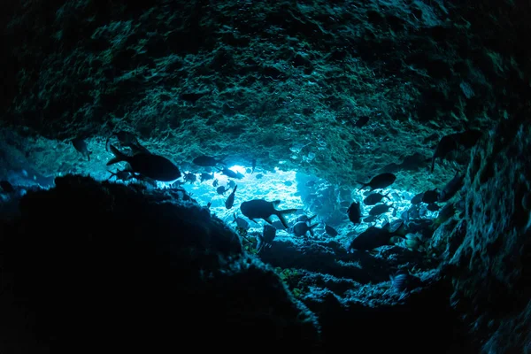 Rays Sunlight Underwater Cave — Stock Photo, Image