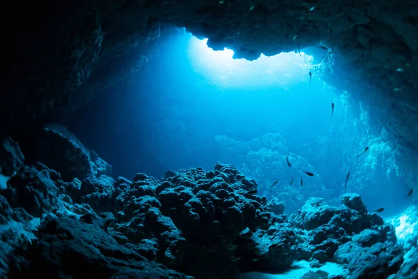 Rays Sunlight Underwater Cave — Stock Photo, Image