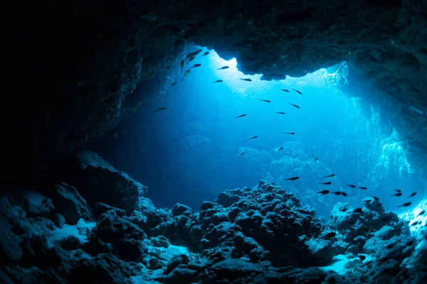 Rays Sunlight Underwater Cave — Stock Photo, Image