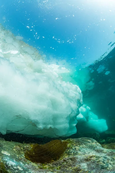 Hielo Deriva Rausu Hokkaido Japón — Foto de Stock