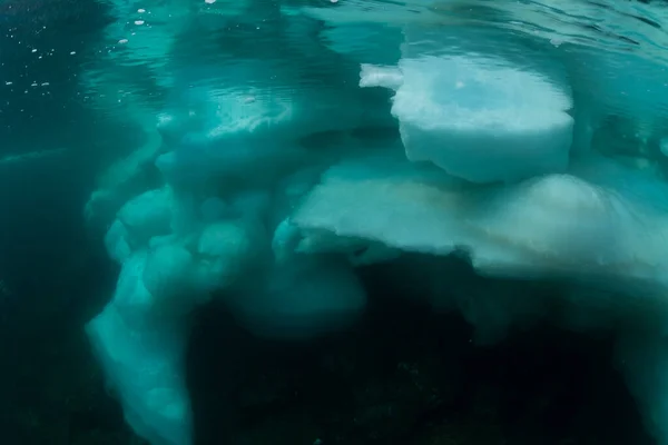 Drift Ice Rausu Hokkaido Japão — Fotografia de Stock