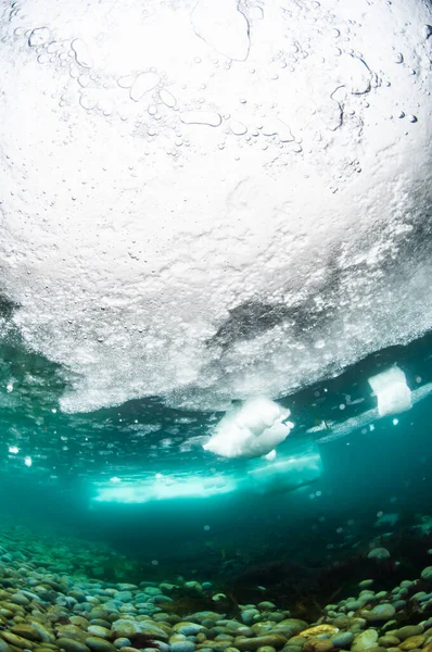 Drift Ice Rausu Hokkaido Ιαπωνία — Φωτογραφία Αρχείου