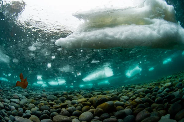 Drift Ice Rausu Hokkaido Ιαπωνία — Φωτογραφία Αρχείου