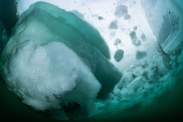 Drift Ice Rausu Hokkaido Japan — Stock fotografie