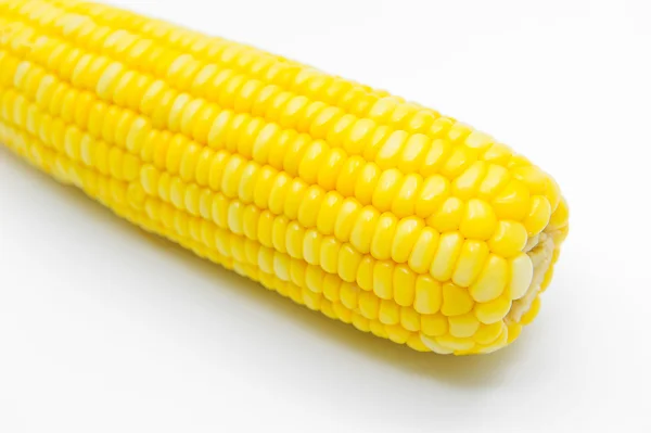 Maïs met schaduw. — Stockfoto