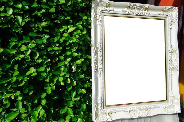 Bahçede boş çerçeve.