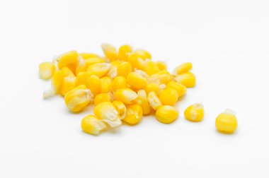 Gölge ile mısır tohumları