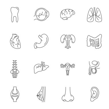 İnsan organlarını ince çizgiler Icon Set. Vektör