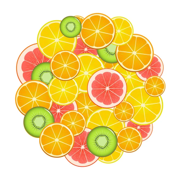 Fruit plakjes ronde. Vector — Stockvector