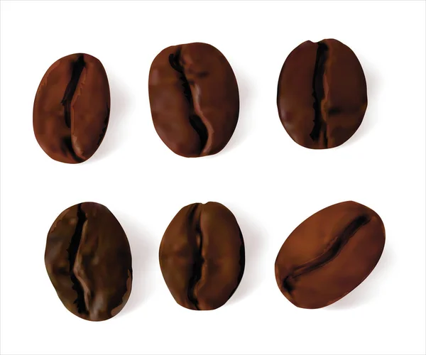 Realista detallado 3d granos de café conjunto. Vector — Vector de stock