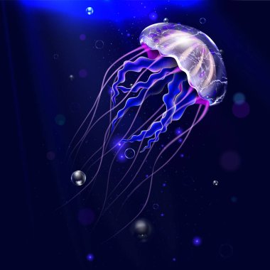 Gerçekçi Detaylı Sudaki 3D Şeffaf Denizanası. Vektör
