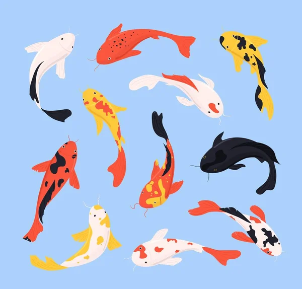 Cartoon Color Different Koi Fish Icons Set. Vektor — Stockový vektor