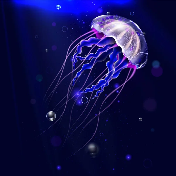 Realistic Detailed 3d Transparent Jellyfish in The Water. Vector — Stock Vector