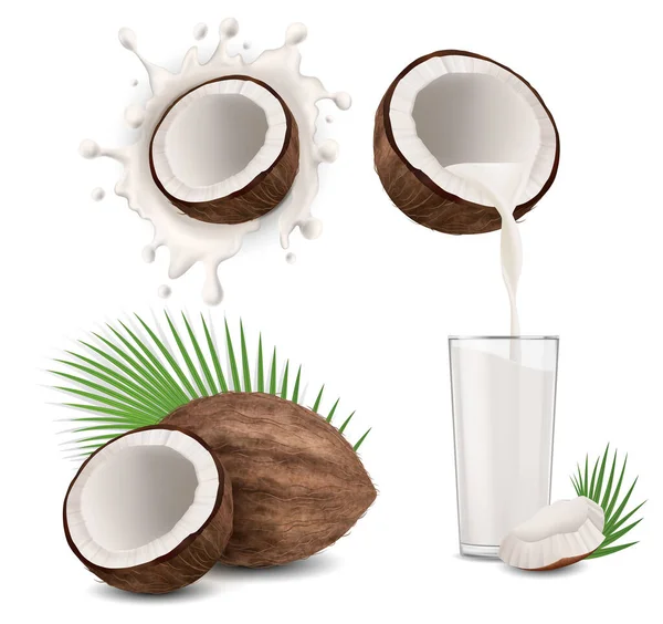 Ρεαλιστική Λεπτομερής 3d Coconut Προϊόντα Σετ. Διάνυσμα — Διανυσματικό Αρχείο