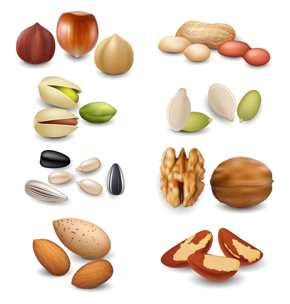 Realistic Detailed 3d Different Nuts Set. Vector — Stock Vector