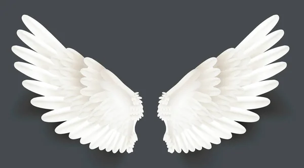 Реалістичний деталізований 3d білий набір крил. Векторні — стоковий вектор