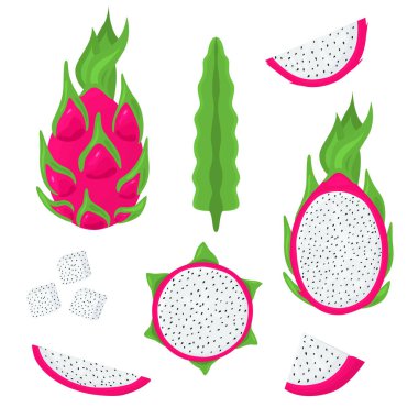Çizgi film Color Whole Pitaya ve Half Set. Vektör
