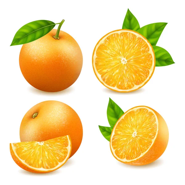 Realistic Detailed 3d Fresh Ripe Whole and Slice of Oranges Set. Vector — Stock Vector